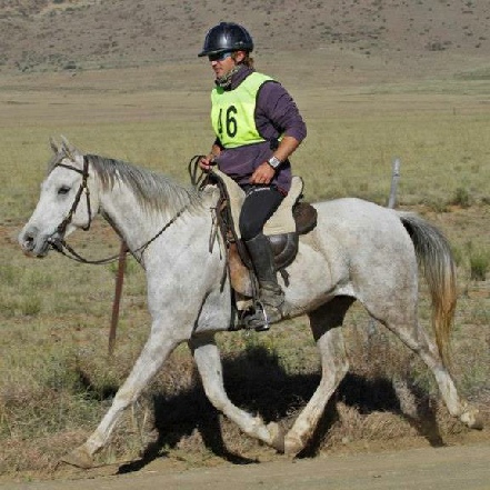 What Is Endurance Riding  Chapman Valley Horse Riding