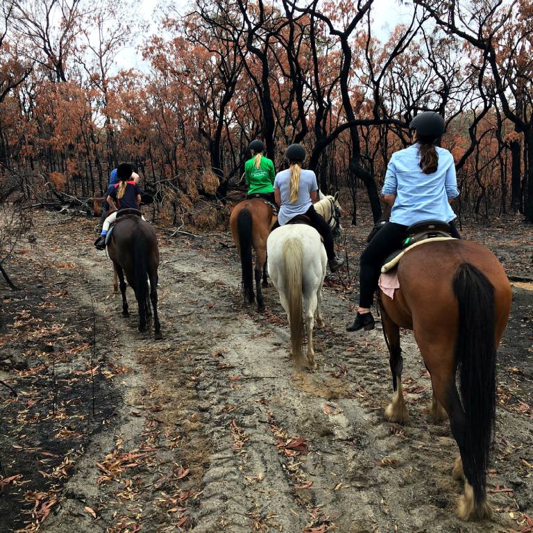 Chapman Valley Horse Riding Re-opened for 2020: Your Bushfire Questions Answered!