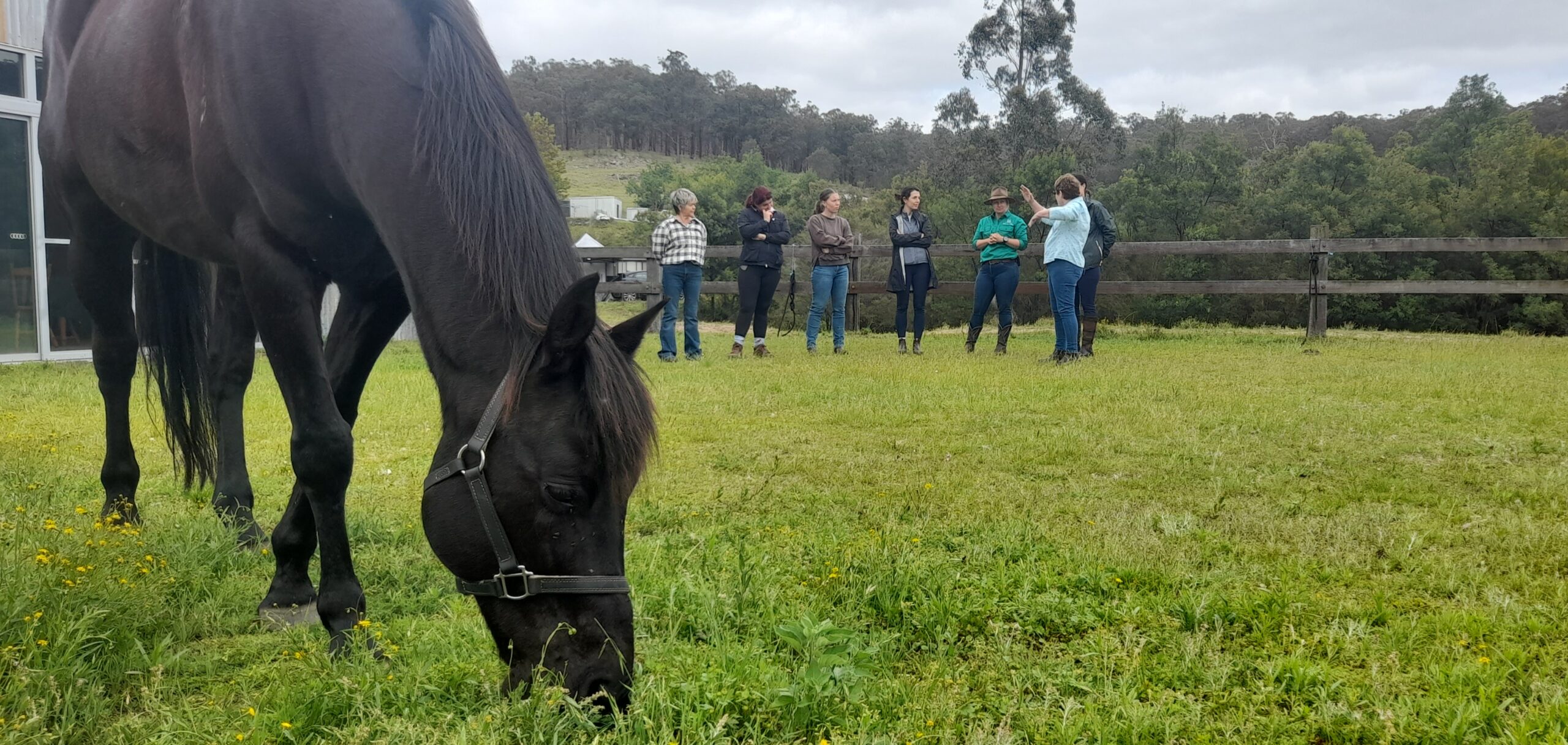 Multi-day horse ride